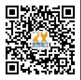 1577261725135408.jpg